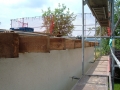 DSCF1088