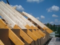 DSCF1177